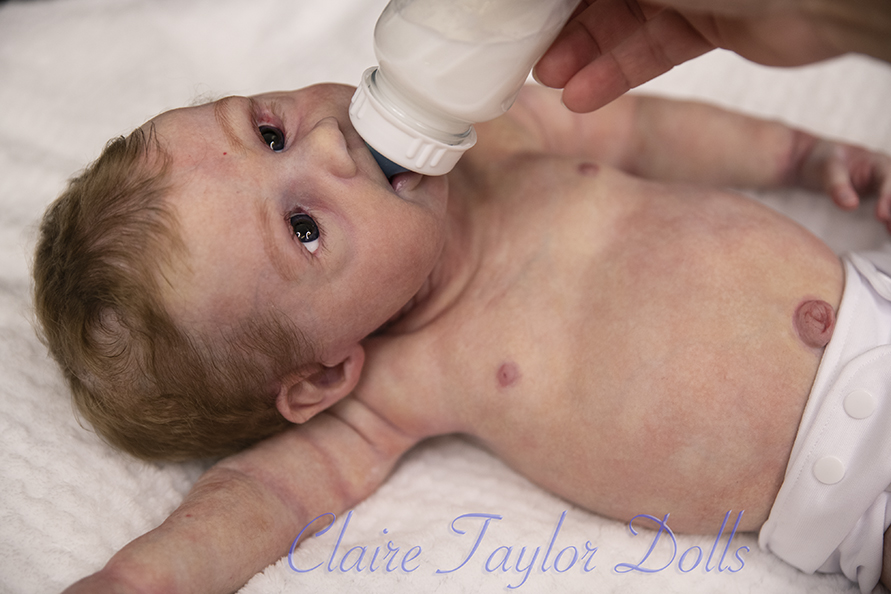 claire taylor reborn dolls