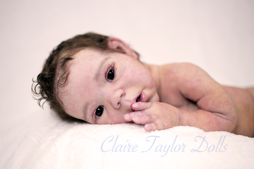 Claire store taylor babies